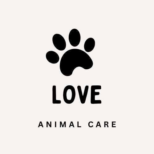 Love animals care